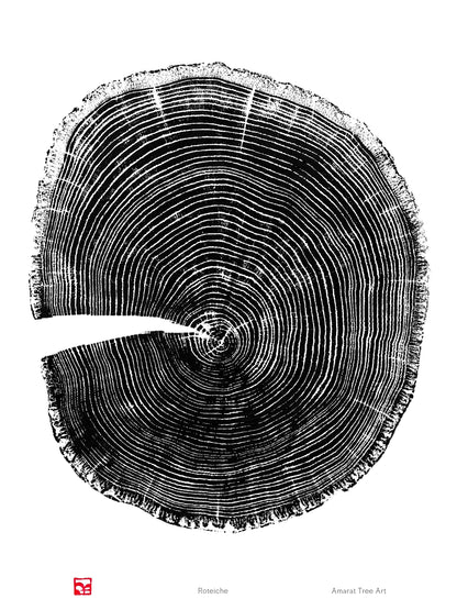 3 prints für 100 Euro